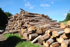 BRENNHOLZ Feuerholz zum Heizen und Kochen