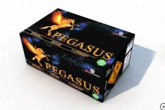 Pegasus