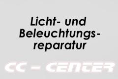 Licht- und Beleuchtungsreparatur