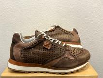 Cetti Art. CE34