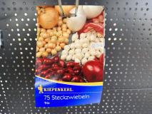 Steckzwiebel