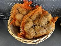 Saatkartoffeln
