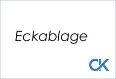 Eckablage für Duschutensilien