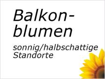 Blumen - für sonnige / halbschattige Standorte