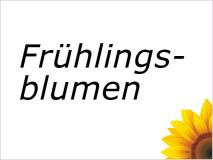 Frühlingsblumen