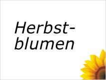 Herbstblumen