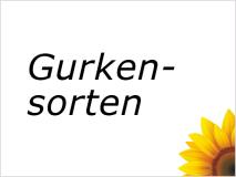 Feldgurken | Salatgurken | Snackgurken