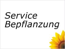 Bepflanzungsservice für den Balkon