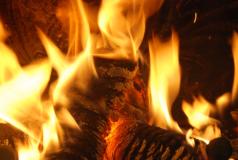 Holzgas BHKW - auch aus Holz lässt sich Strom gewinnen