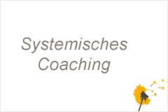 Systemisches Coaching