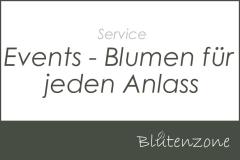 Eventfloristik & florale Dekorationen für Gastro, Firmen ...
