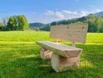 Baumstammbank mit und ohne Lehne