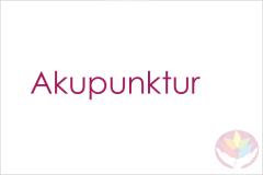 Akupunktur – gezielte Impulse für den Körper