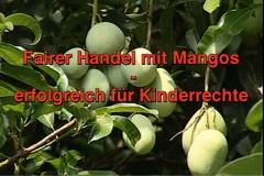 Fairer Handel mit Mangos aus den Philippinen