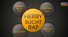 Neue Folge HERBY SUCHT RAT