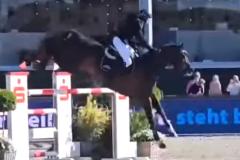 Horse & Dreams 2025