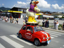 Blumencorso-Puch