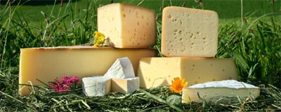 Bio Heumilchkäse